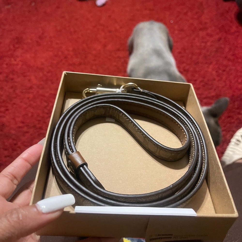 Coach dog leash
